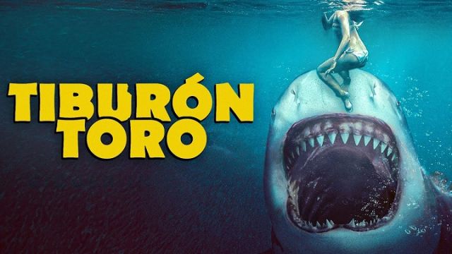Tiburón Toro