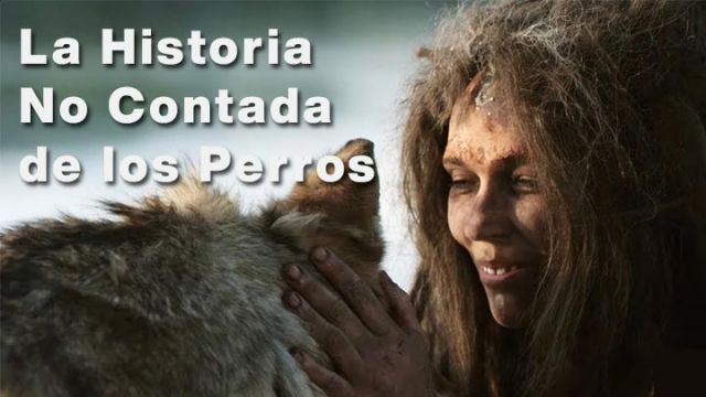 La Historia No Contada de los Perros