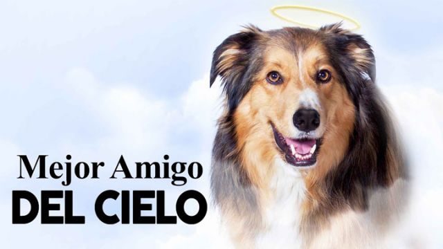 Mejor Amigo del Cielo
