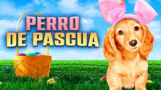 Perro de Pascua