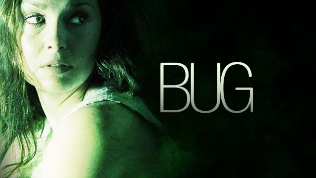 Insectos