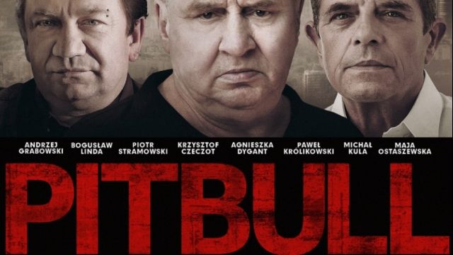 Pitbull - un hijo del diablo